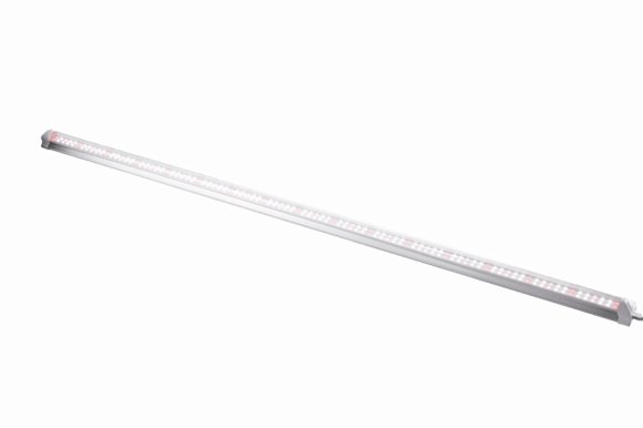 T8 LED Grow Lights | 4ft T8 LED Grow Light Bulbs | Full Spectrum T8 LED Grow Lights | Cultiuana GZ-100 T8 Bulbs