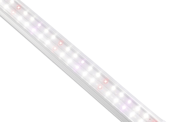 t8 grow light bulbs 48-inch T8 LED Grow Lights | 4ft T8 LED Grow Light Bulbs | Full Spectrum T8 LED Grow Lights
