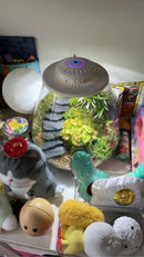 LED Lighting For Terrarium Plants | Terrarium LED Grow Lights | Cultiuana FF-081-4