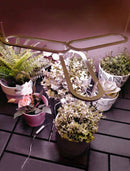 USB Grow Light | Decorative Grow Lights for Indoor Plants | Dimmable Grow Light Bulb | Cultiuana QI-601 Small Grow Light for Houseplants-2