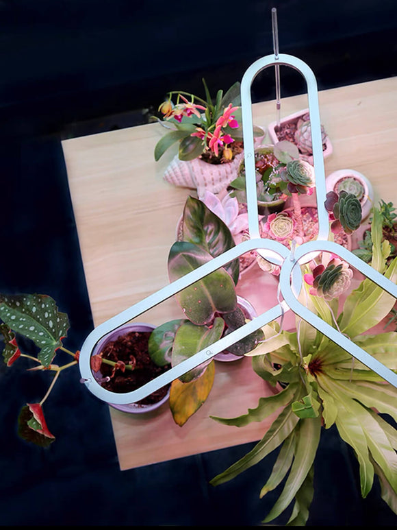 USB Grow Light | Decorative Grow Lights for Indoor Plants | Dimmable Grow Light Bulb | Cultiuana QI-601 Small Grow Light for Houseplants