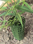 Tree Guards for Trees - Plastic Tree Trunk Protector to Protect Against Deer, Rabbits & Squirrels | Cultiuana-5