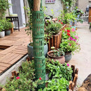 Tree Guards for Trees - Plastic Tree Trunk Protector to Protect Against Deer, Rabbits & Squirrels | Cultiuana-9