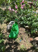 Tree Irrigation Bags – Slow Release Watering Bags for Trees-2