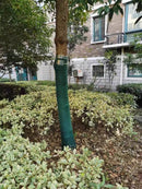 Breathable Tree Wrap for Winter – 3-Layer Trunk Protector | Cultiuana-4