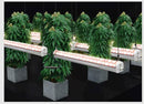 150W Under Canopy Grow Lights | Under Canopy Lighting For Grow Room | UCD-150-2