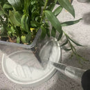 Water Absorber Sucker To Remove Water from Saucers of Heavy Pots-2