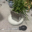 Water Absorber Sucker To Remove Water from Saucers of Heavy Pots-8