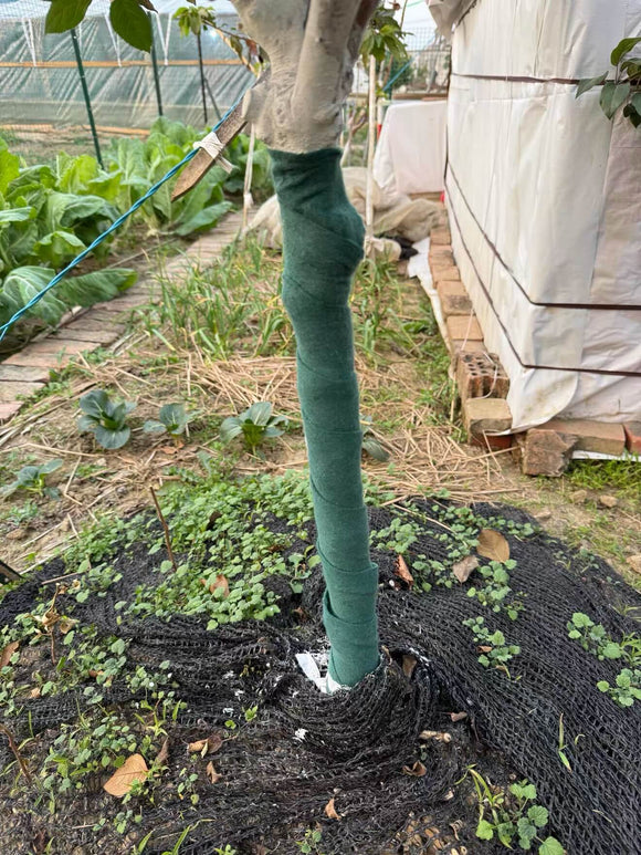 Breathable Tree Wrap for Winter – 3-Layer Trunk Protector | Cultiuana