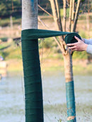Breathable Tree Wrap for Winter – 3-Layer Trunk Protector | Cultiuana-3
